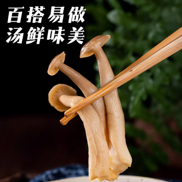 大昌兴农- 滇园冻干鹿茸菇30g/盒【到期：2027-03-16】 | DCH Living 大