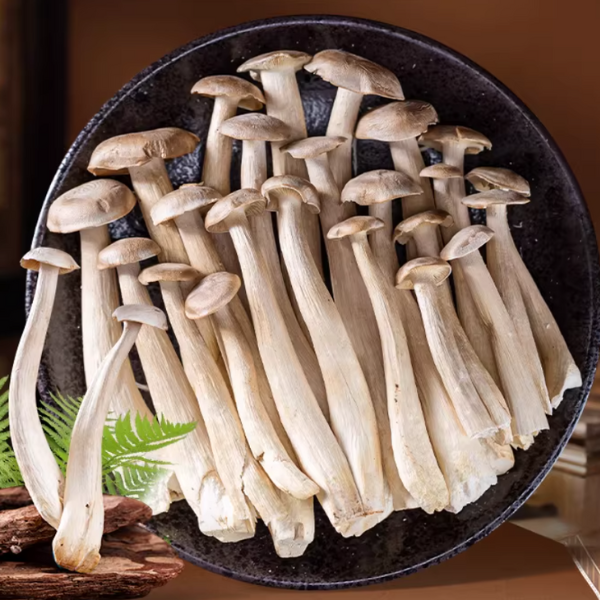 大昌兴农- 滇园冻干鹿茸菇30g/盒【到期：2027-03-16】 | DCH Living 大